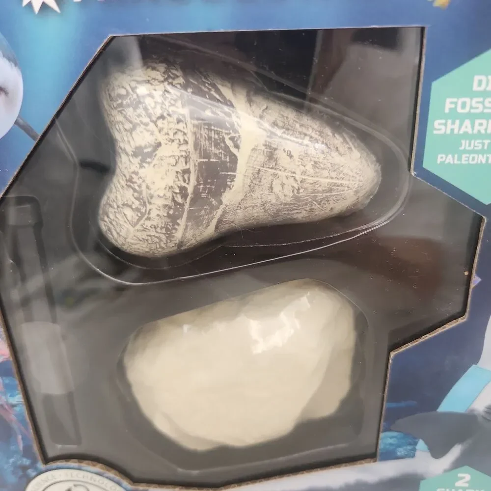 Science Kit Discovery Mindblown Shark Teeth Unearthed 2pk Mini Excavation STEM